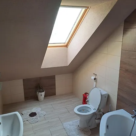 Apartament Privat Gazda *