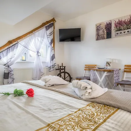 Apartment Privat Gazda *